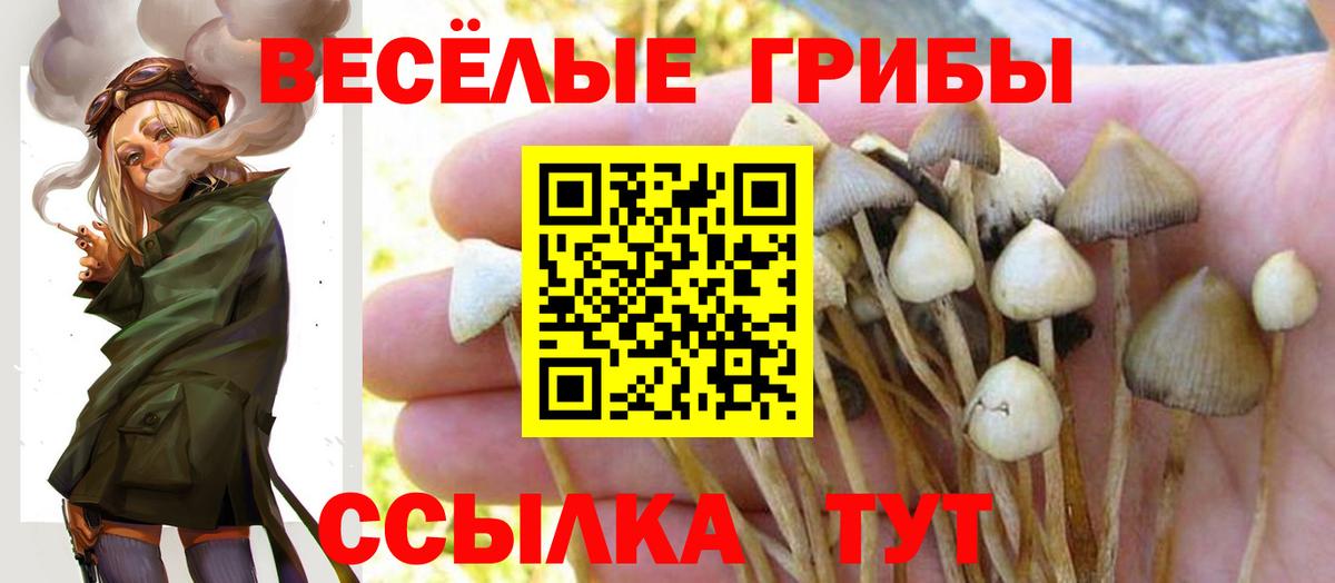 Псилоцибиновые грибы мухоморы  Вход с VPN  Псилоцибиновые грибы GOLDEN TEACHER  Шатура 